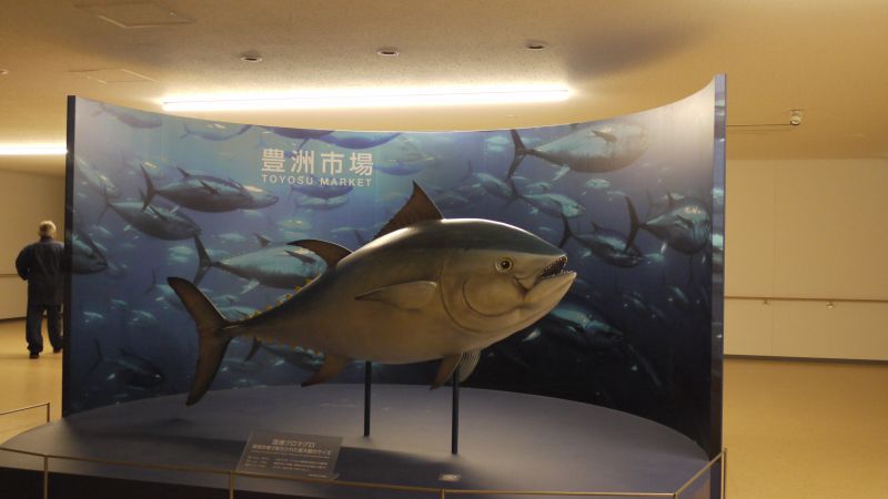Mô hình cá ngừ Toyosu